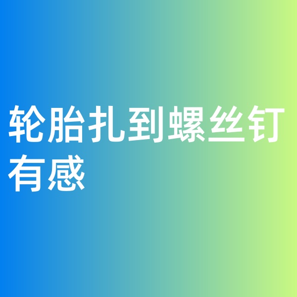 鈀碳回收，輪胎扎到螺絲釘有感